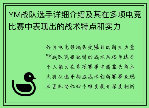 YM战队选手详细介绍及其在多项电竞比赛中表现出的战术特点和实力